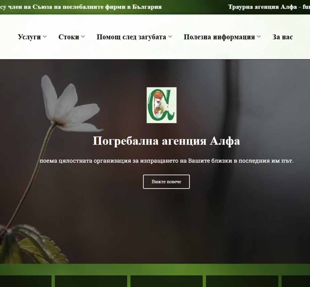 Creación de la página web corporativa de Alfanik