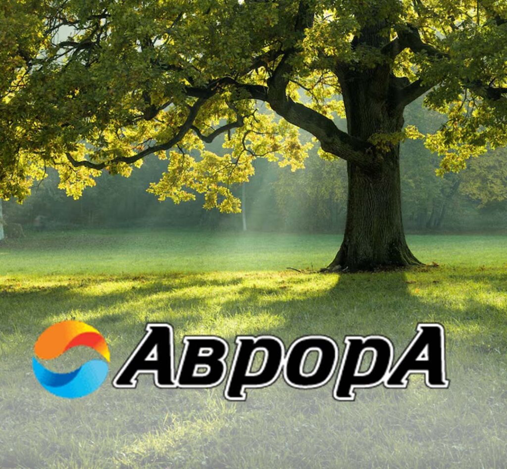 Sitio web corporativo de la Agencia Funeraria AvrorA Plovdiv