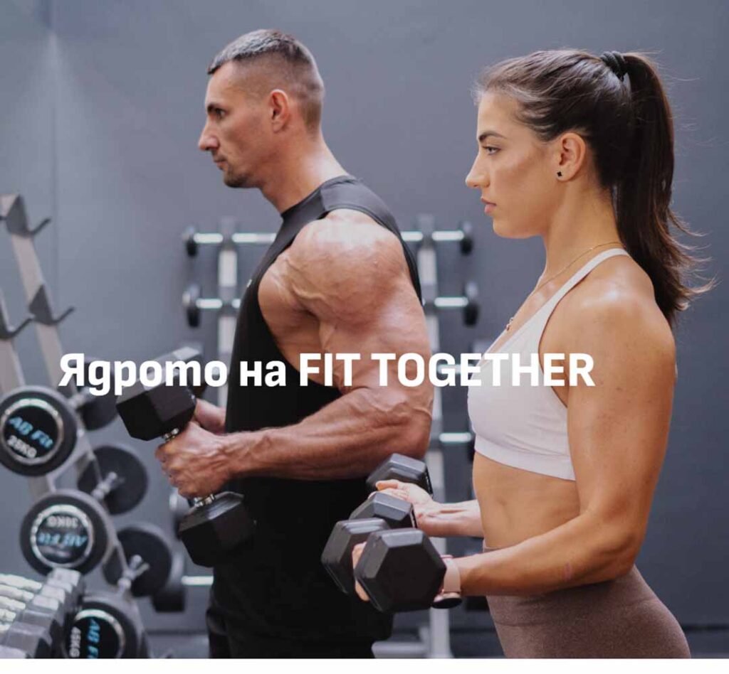 Creación de la página web de Fittogether