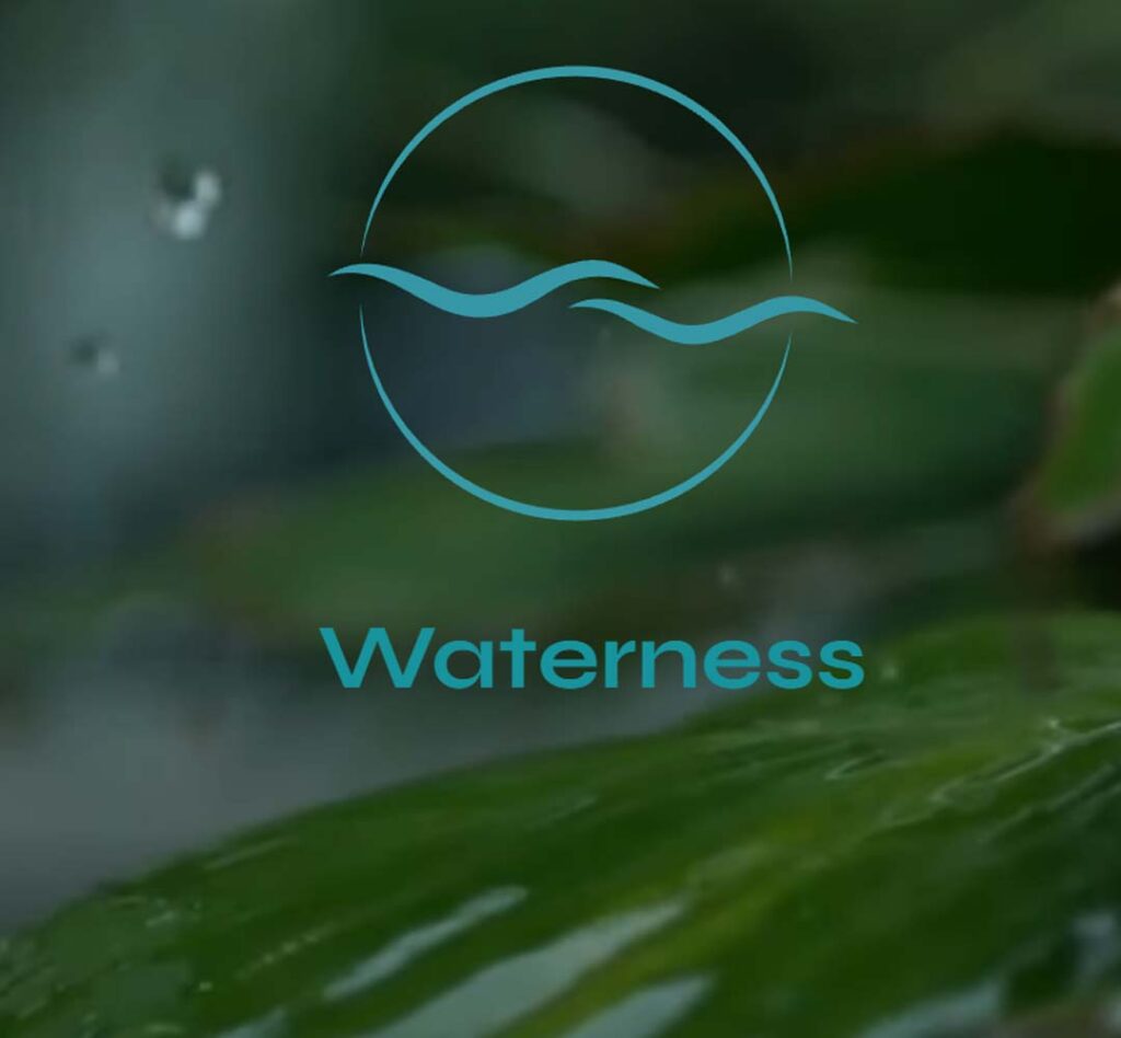 Desarrollo de un sitio web corporativo Waterness